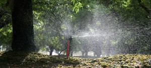 Almond Irrigation