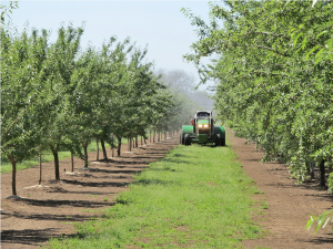 Durham - Butte County