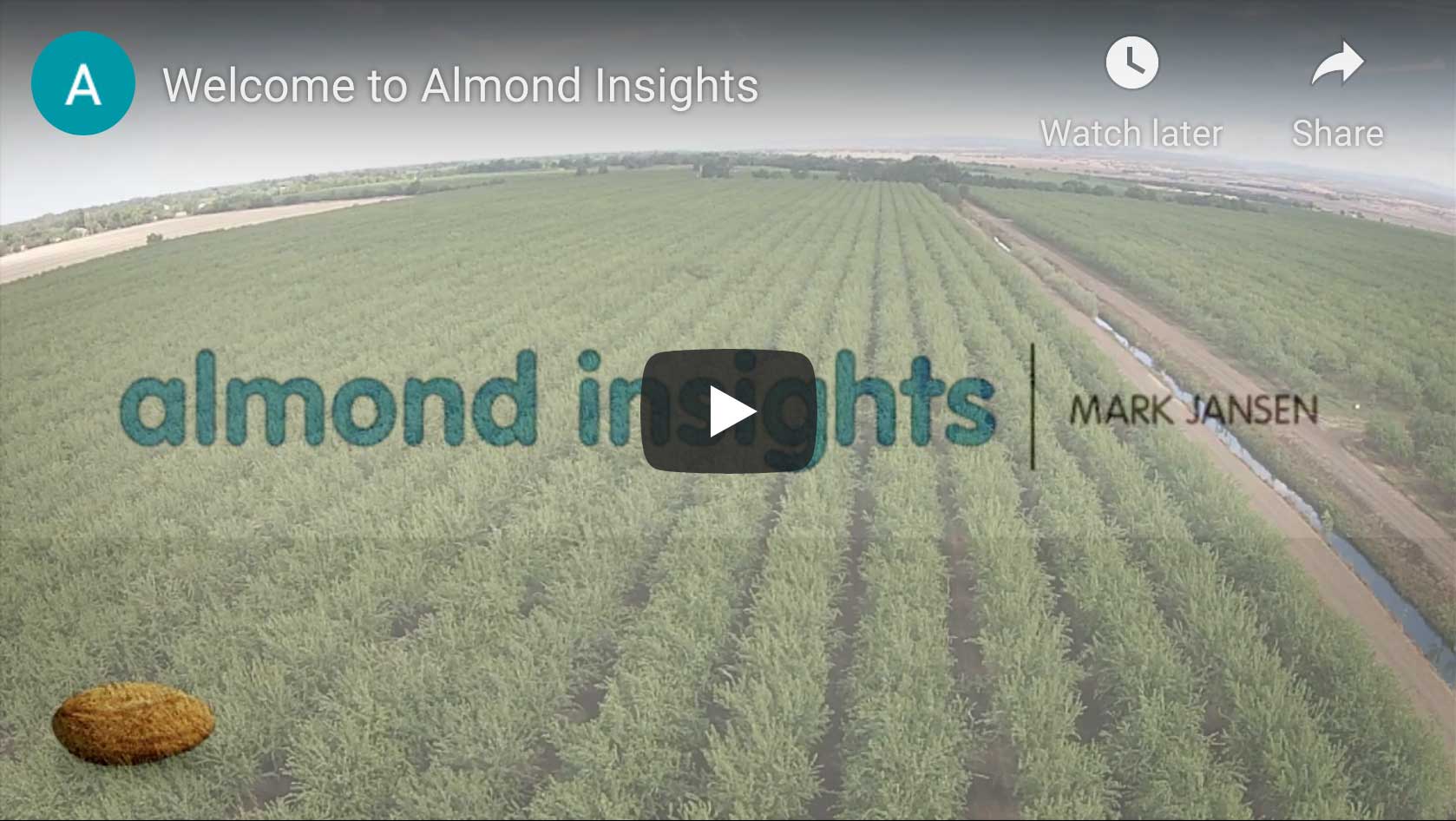 Mark Jansen Welcomes You To Almond Insights
