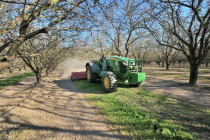 Mowing Mummies in Stanislaus County